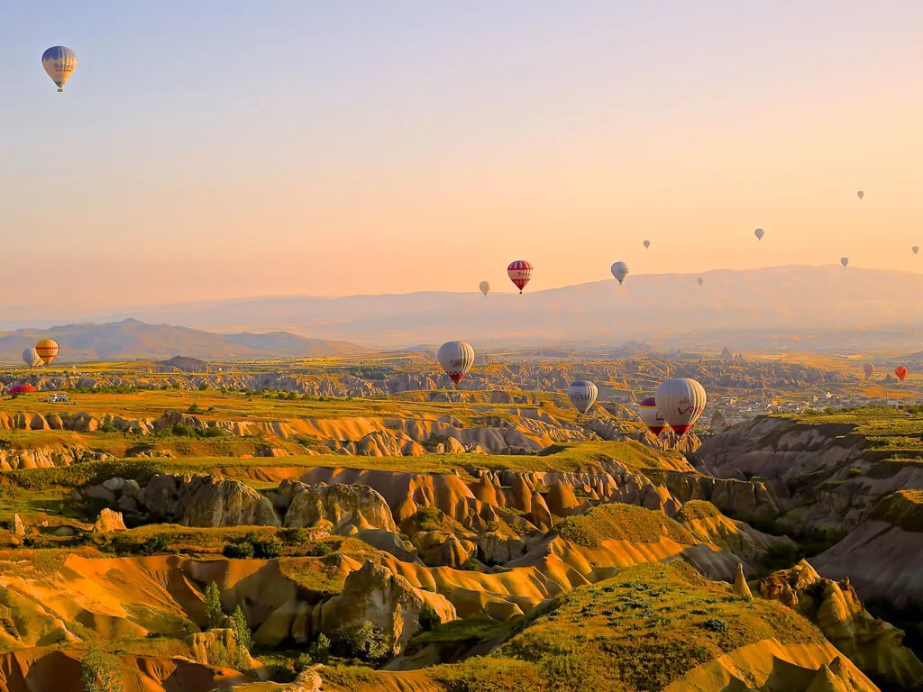 SriSri Pathology Labs - Gallery image 2
