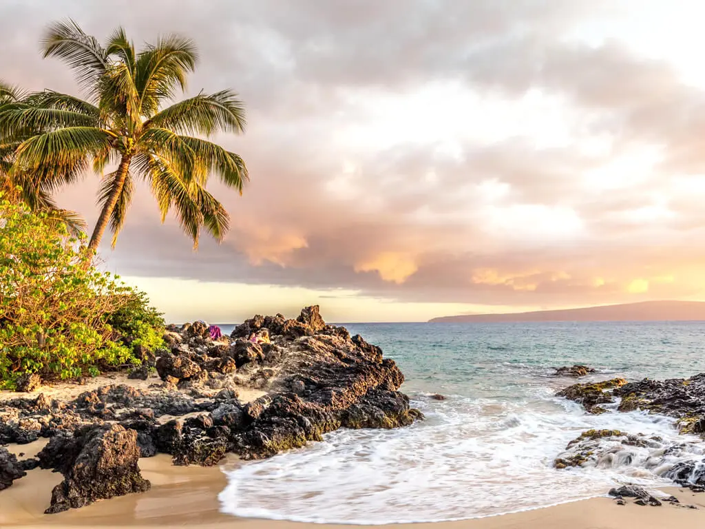 SriSri Pathology Labs - Gallery image 4