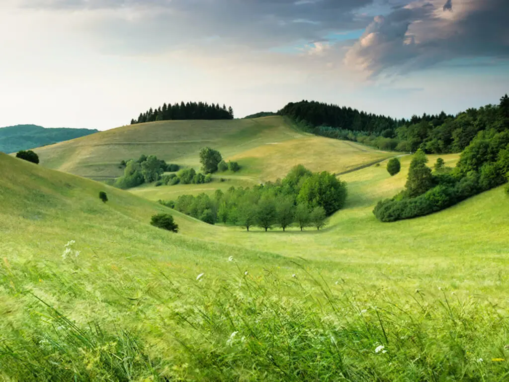 SriSri Pathology Labs - Gallery image 7