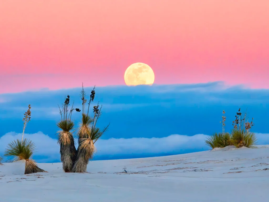 SriSri Pathology Labs - Gallery image 8